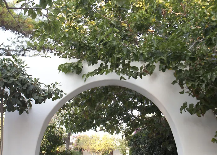 Something Else Апарт-отель Айя-Анна